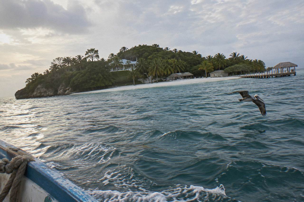 A small palm covered island in a calm turquoise bay with a white sand beach along the shoreline