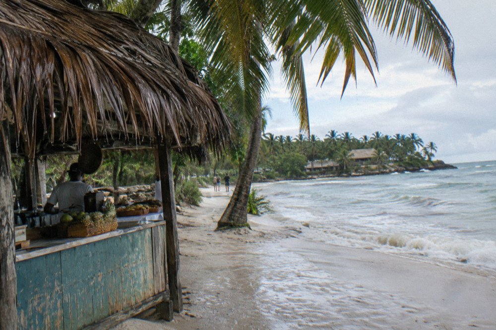 A thatched food stall beside a sandy path shaded by palm leaves