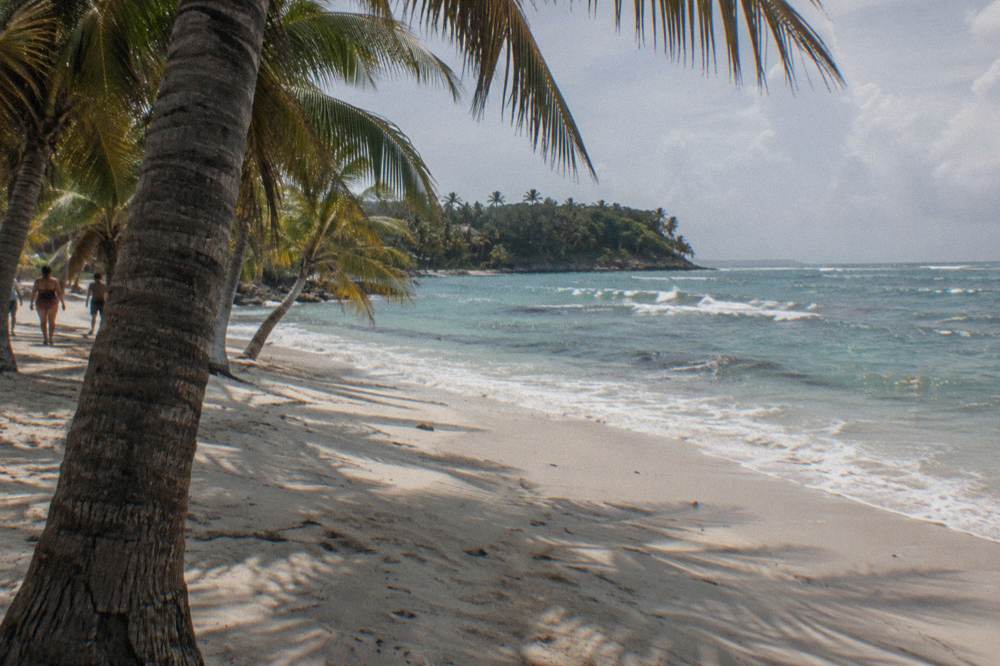 Two empty sun lounger chairs under a palm tree facing open turquoise water