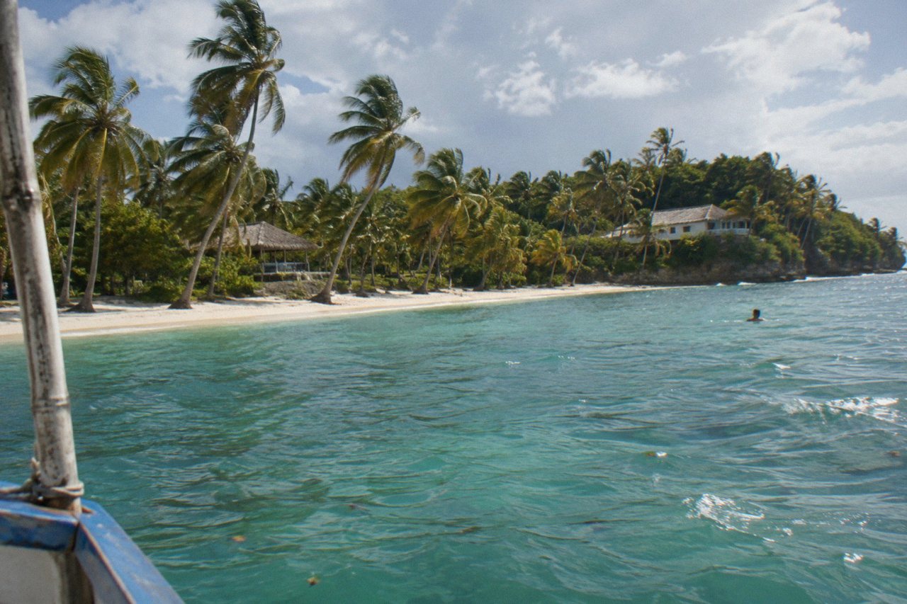 Palm trees leaning over a calm turquoise bay beside a white sand beach
