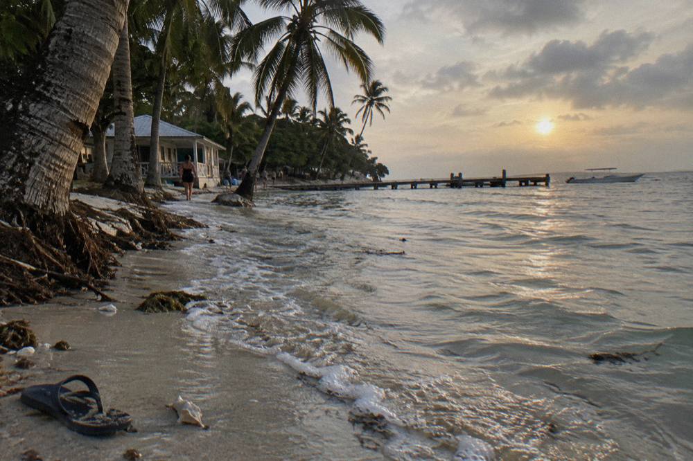 White sand beach with leaning palm trees over calm shallow water