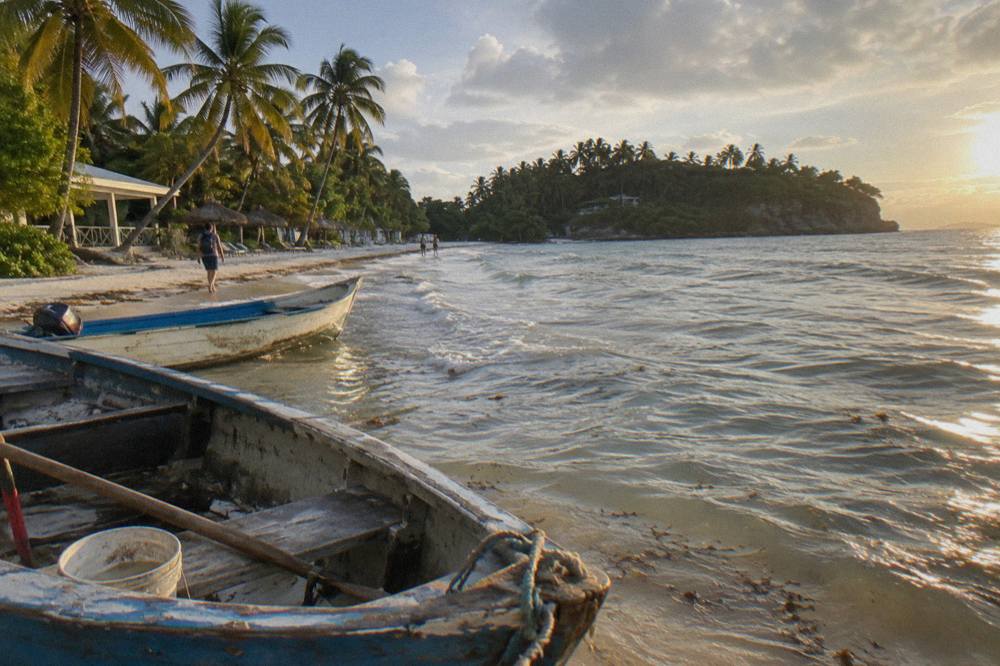 Wooden boats moored in clear shallow water beside a palm shaded beach