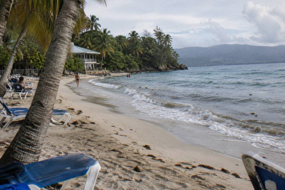 Empty sunloungers under palms along a curved white sand beach