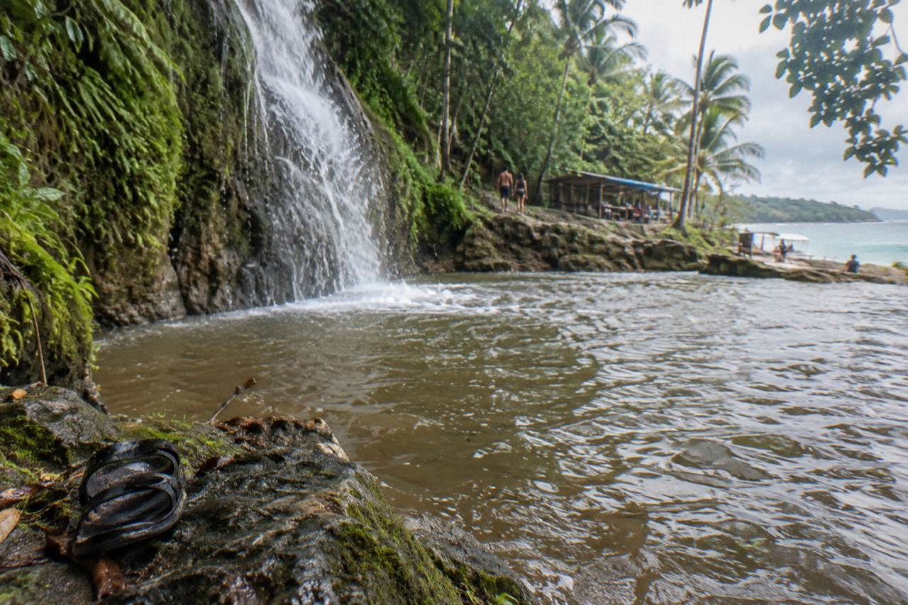 A tall waterfall dropping into a natural pool surrounded by dense tropical forest near Samana