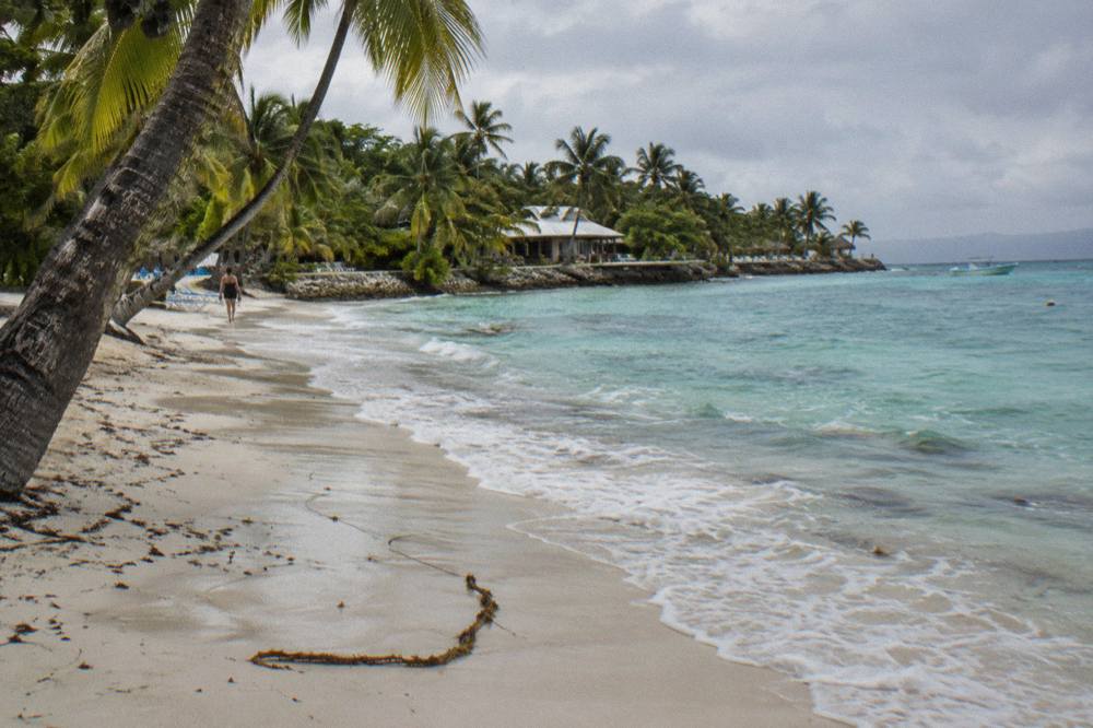 Palm trees leaning over white sand beside calm turquoise water