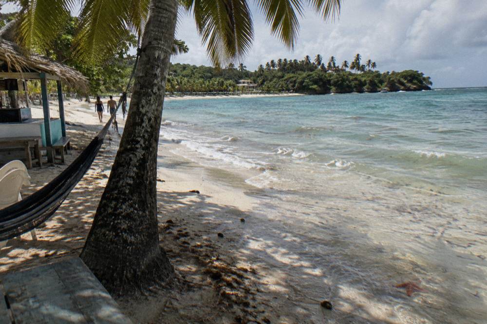 White sand beach with palm shade and calm shallow water along an island shoreline
