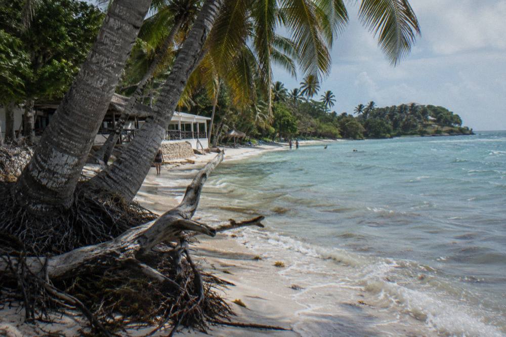 Palm trees leaning over white sand and calm turquoise water on a small island beach