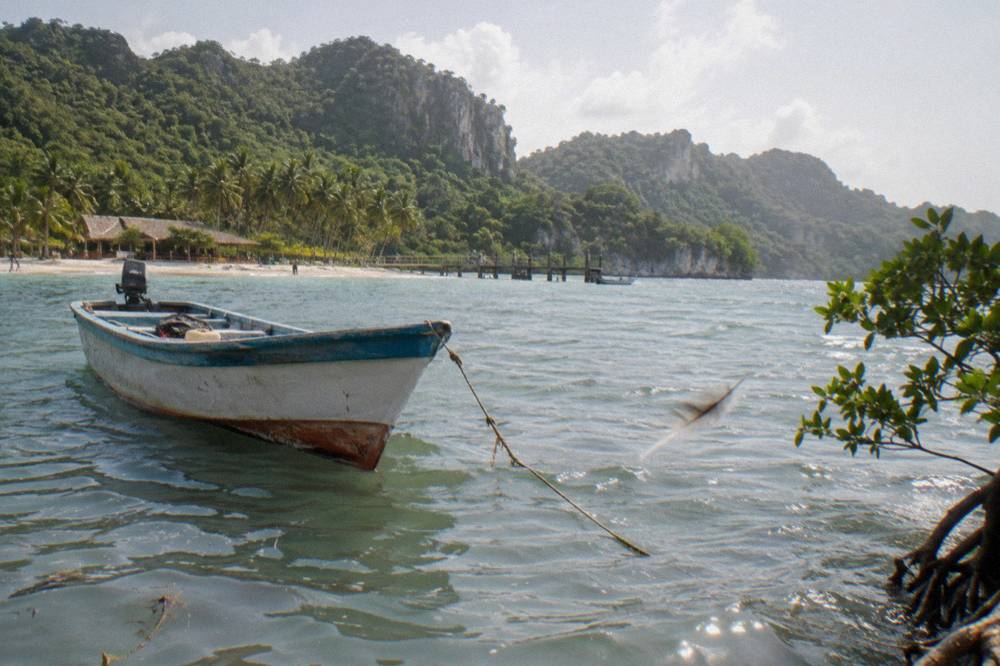 A boat anchored near a green mangrove shoreline with limestone hills behind