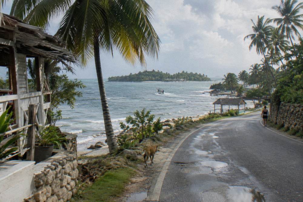 A coastal road winding toward a bay with forested hills