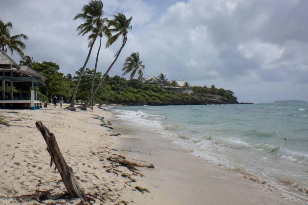 Empty white sand beach with a few palm trees and gentle waves at midday
