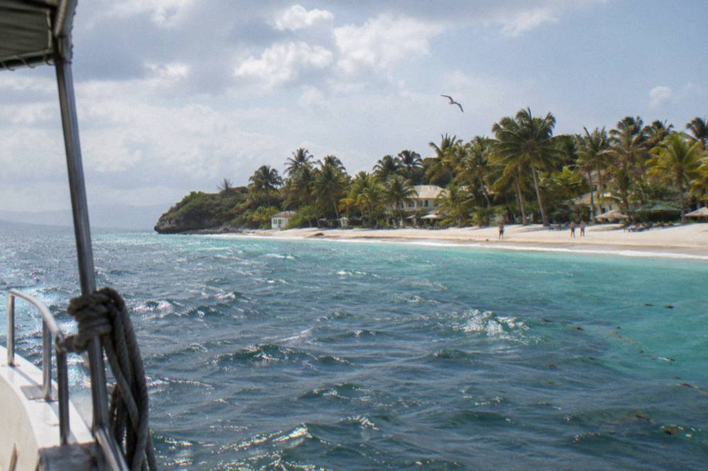 A curving palm-fringed beach with clear shallow water fading to deeper blue