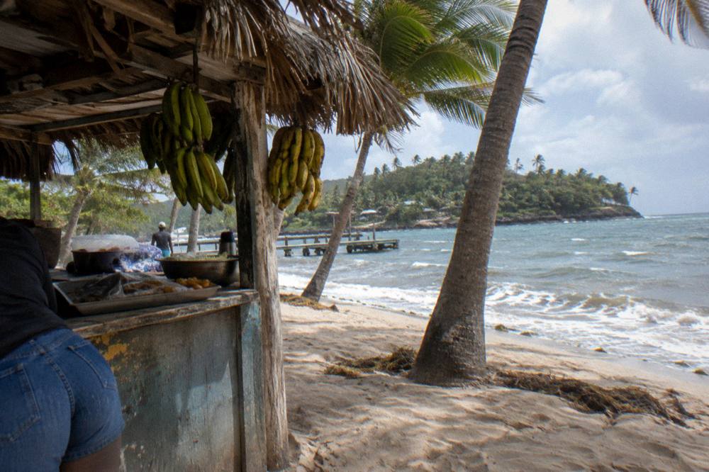 A simple beachside food stall with thatched roofing beside palm trees on white sand