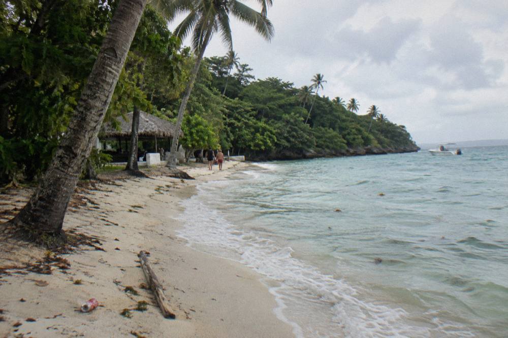 White sand beach with palm trees and clear shallow turquoise water along a wooded island shoreline