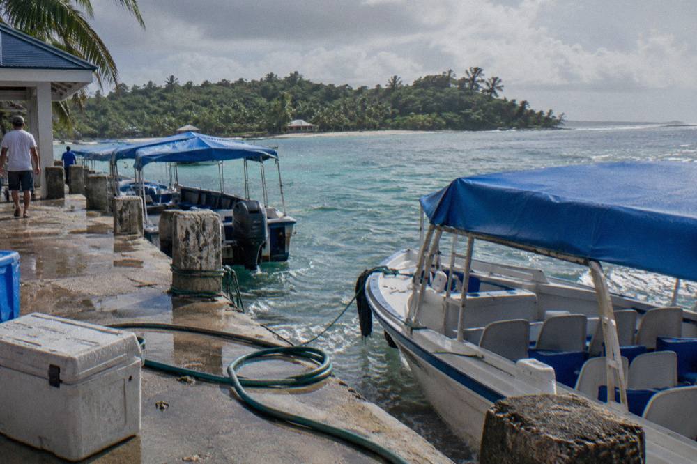 Covered passenger boats moored at a dock on a calm bay with a green island in the distance