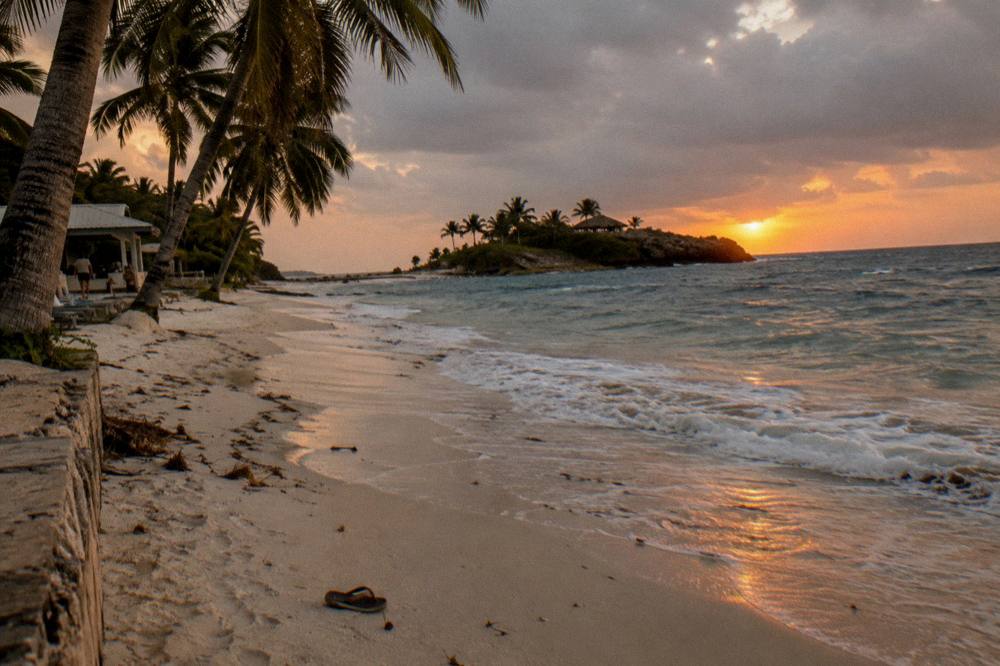 Palm trees leaning over an empty crescent of white sand with gentle waves at dusk