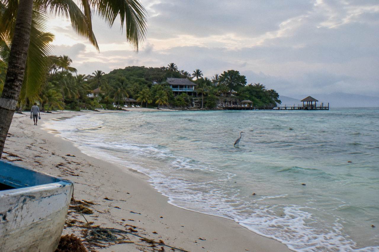 Calm turquoise water and palm trees on an empty white sand beach on Cayo Levantado in early morning light
