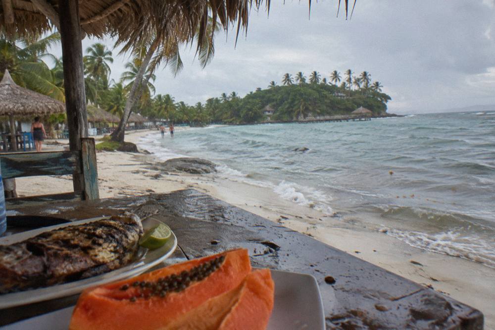 Grilled fresh fish and tropical fruit served on a wooden table beside a tropical beach