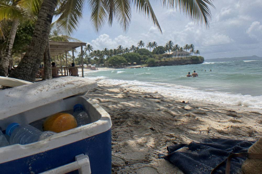Cooler with water bottles and fresh fruit under palm shade on white sand