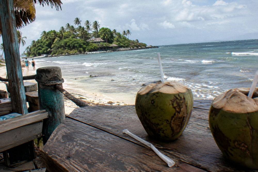 Tropical drinks in coconuts on a beach bar counter facing the sea