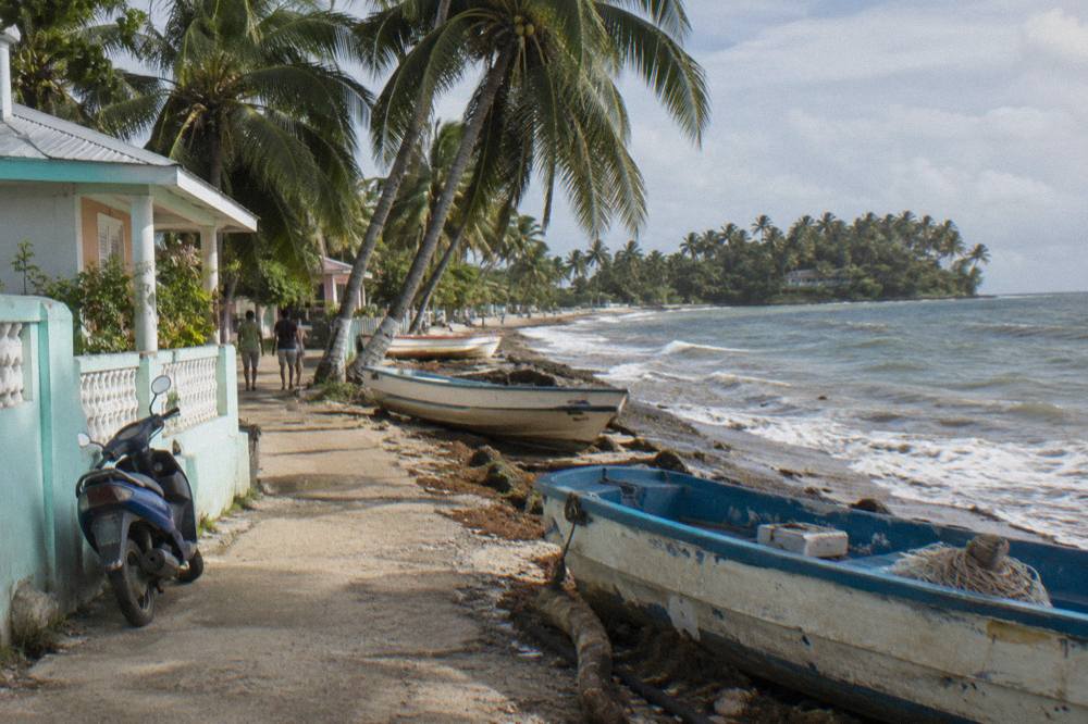 A coastal road winding past palm trees toward a small bay town with fishing boats