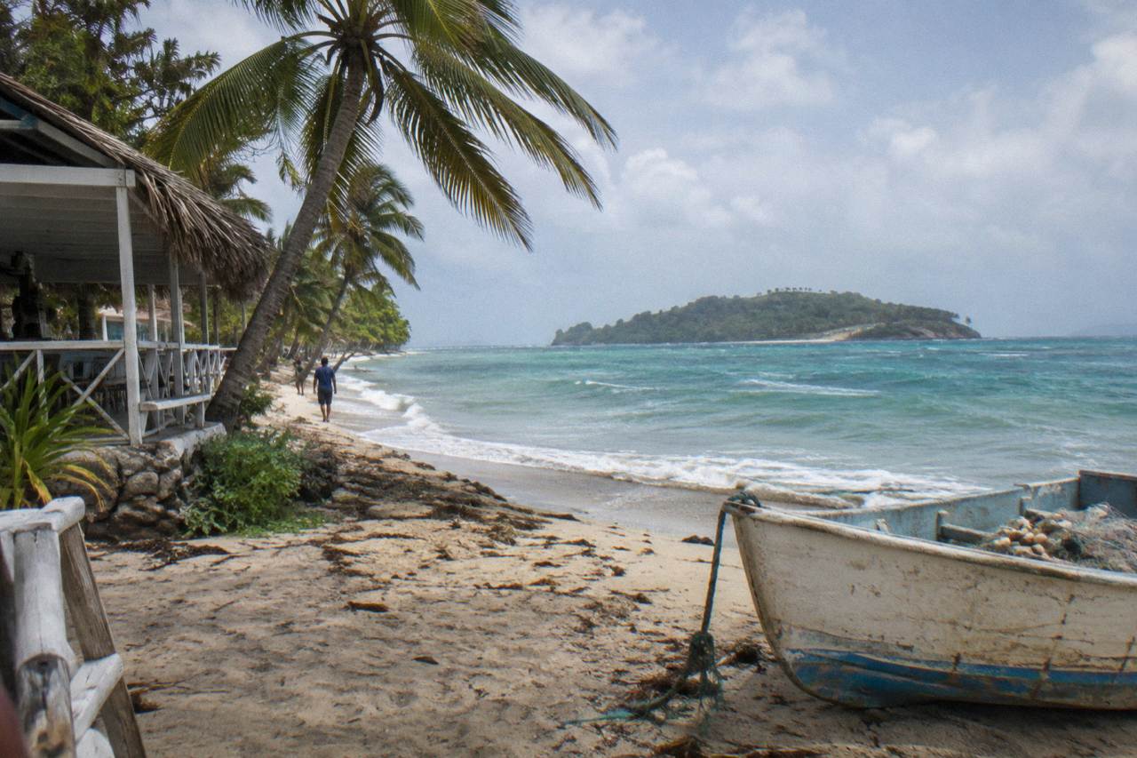 Palm trees leaning over a calm turquoise bay with a small wooded island on the horizon