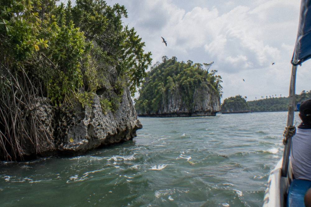 Mangrove channels and limestone islets along a calm bay shoreline