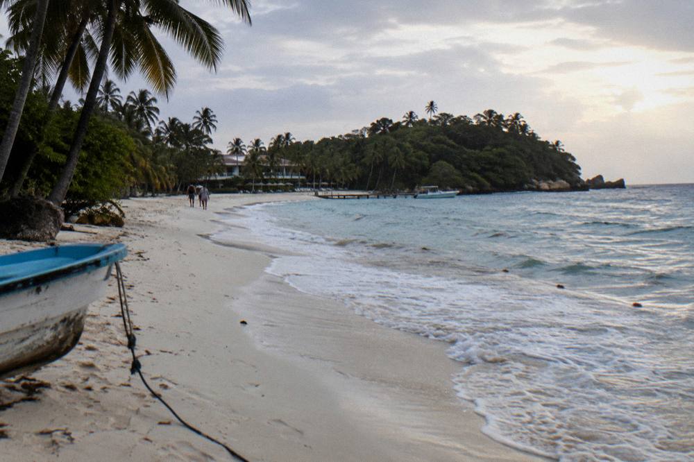 Empty white sand beach with palms early in the morning under clear sky