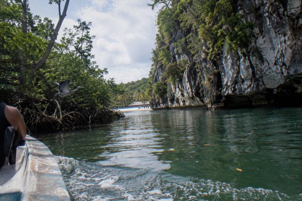 Mangrove channel with limestone cliffs rising from still water