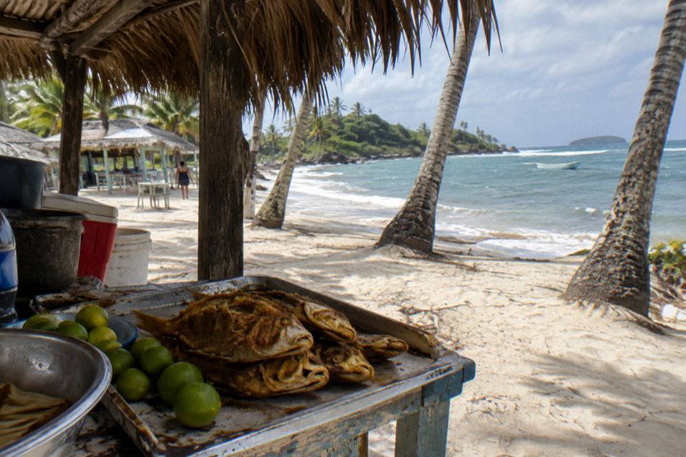 Shaded beach stall serving fresh fish and drinks under palm trees