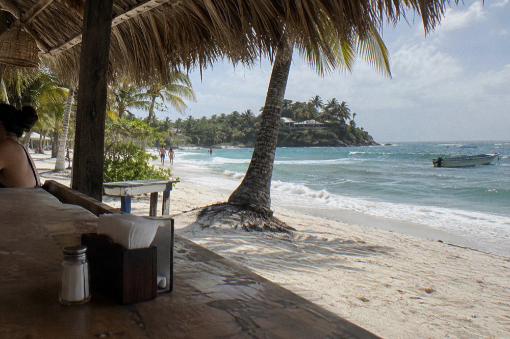 Simple beachside food stall with thatched roof beside palm trees and white sand