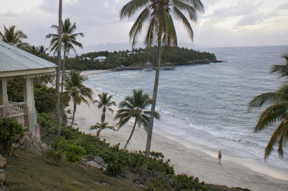 Empty white sand beach at morning light with calm water and scattered palms