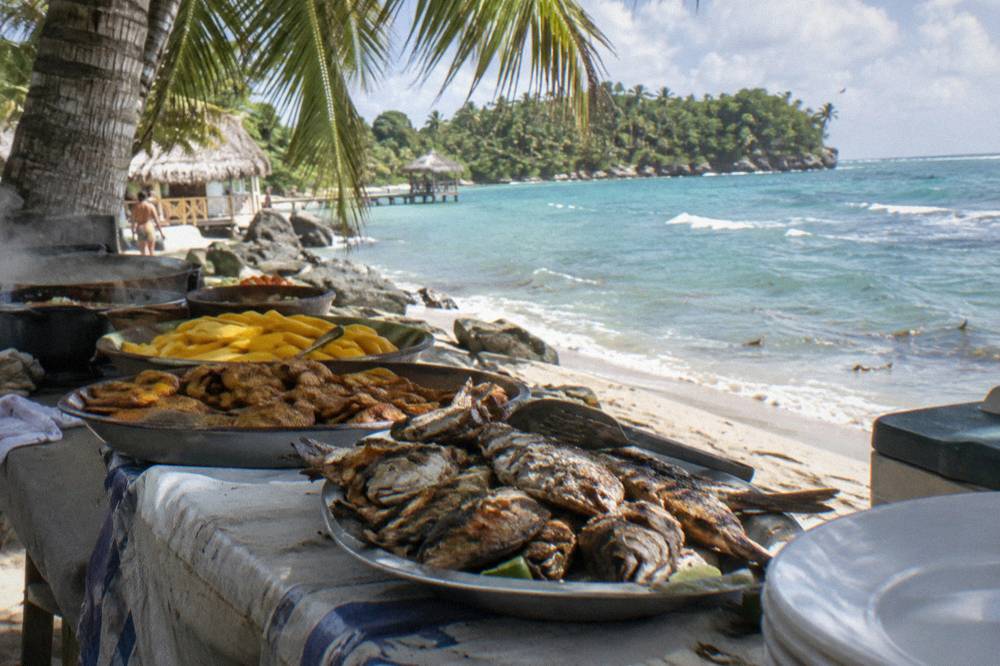 A buffet lunch of grilled fish and tropical fruit served under palm shade on an island beach