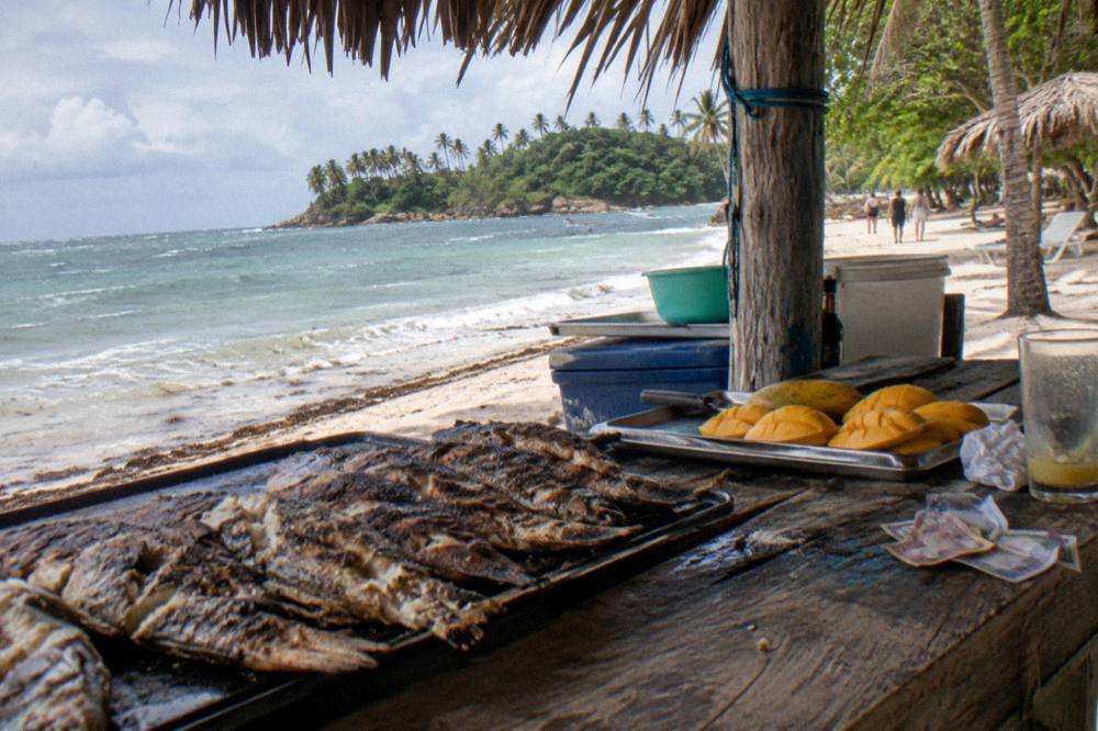 A simple beach stall with fresh grilled fish and tropical drinks under a thatched roof