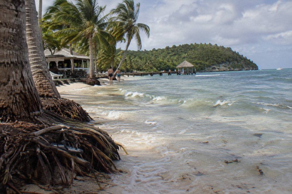 Shallow clear water over pale sand beside palm trees at the edge of an island beach
