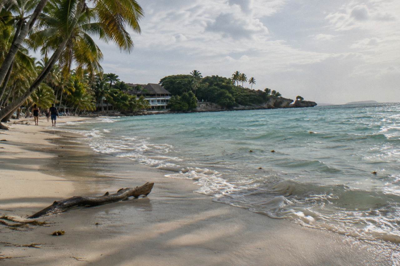 Turquoise water and palm trees along the white sand shoreline of a small island in Samana Bay