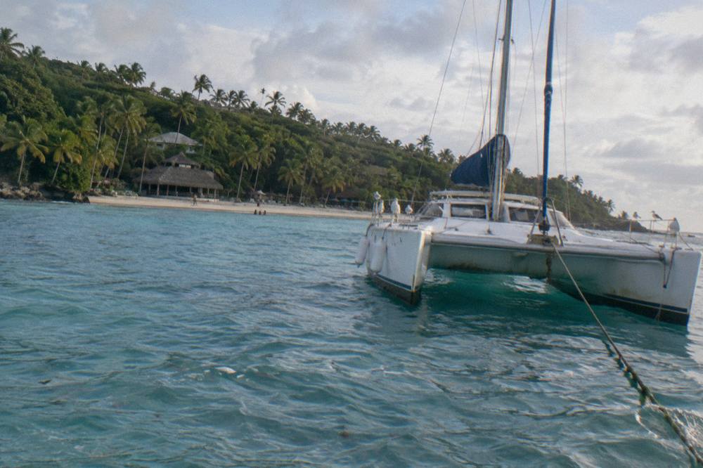 Catamaran anchored near a palm-lined island beach in Samana Bay