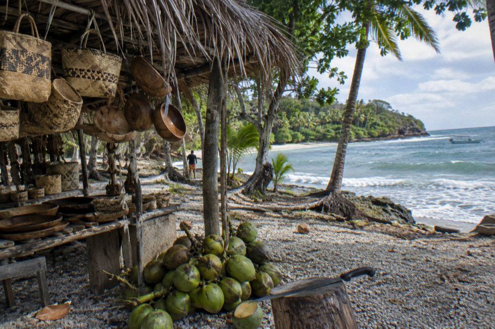 Beach stall with handmade crafts and fresh coconuts under palm trees