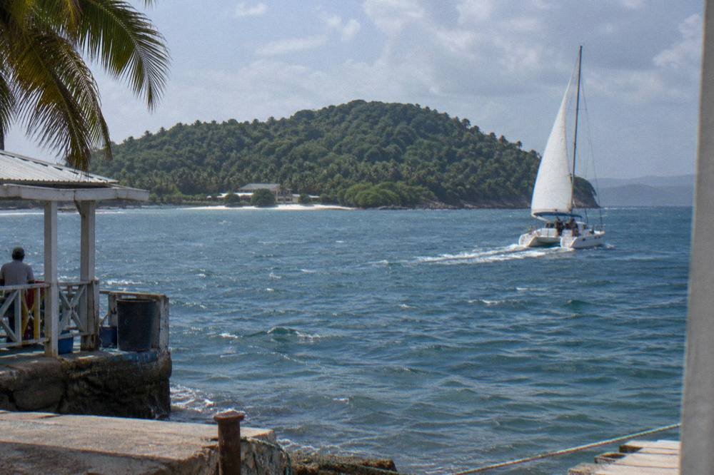 A catamaran under sail on calm blue bay water approaching a green island