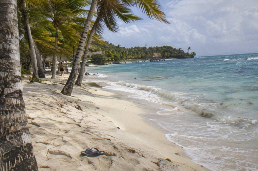 White sand beach with palm trees and clear shallow water along a small island shoreline