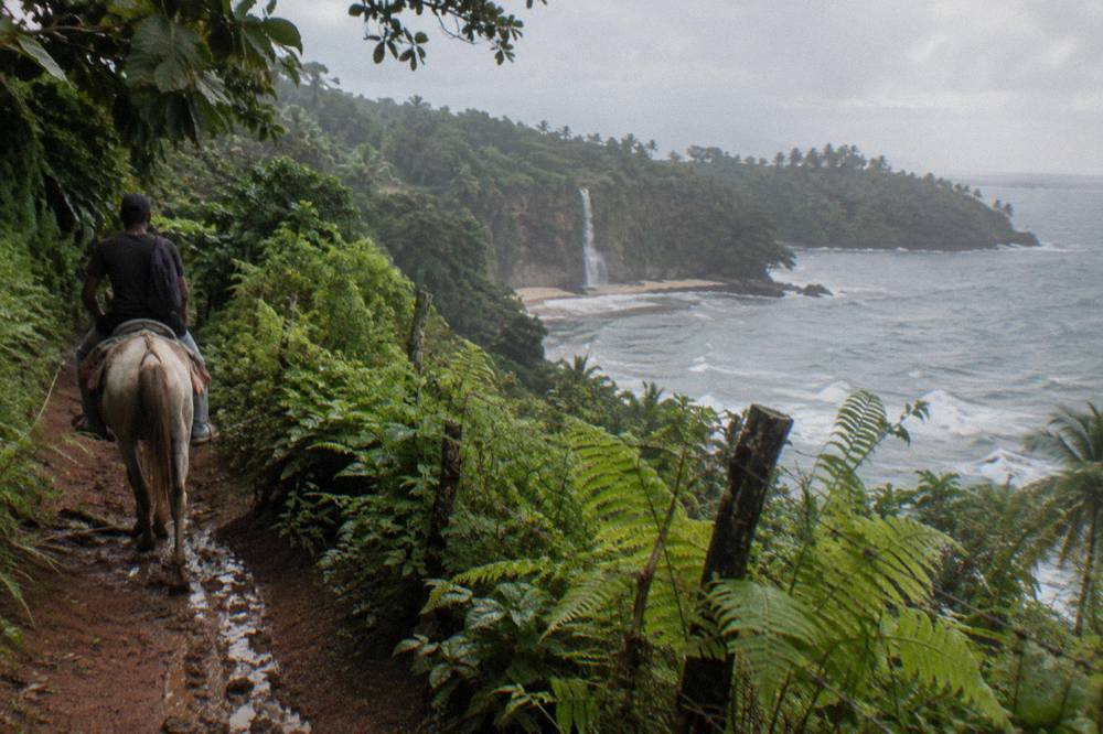 Horseback riders on a narrow trail through dense tropical forest toward a waterfall