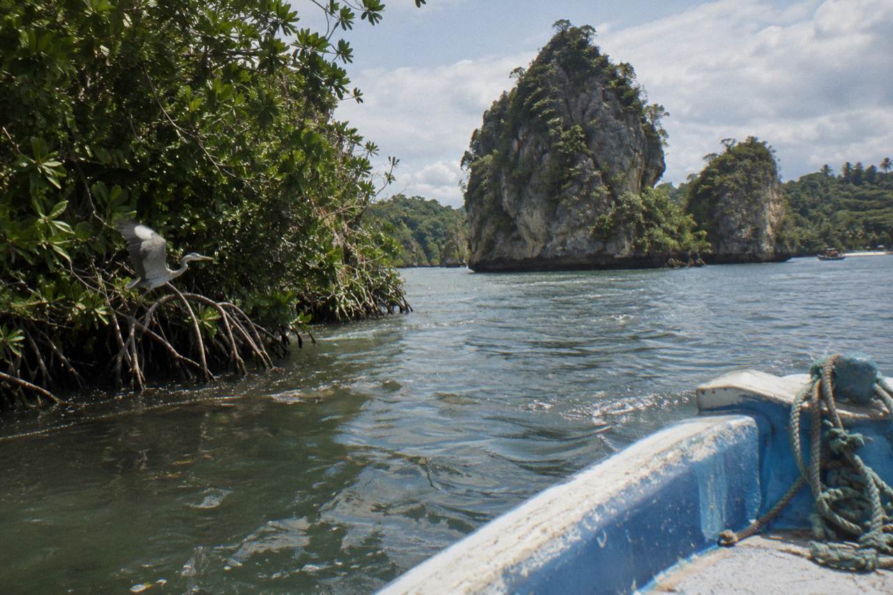 Mangrove channels and limestone islets of Los Haitises National Park seen from a small boat