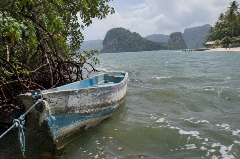 Wooden boat anchored beside mangrove roots in a calm green bay