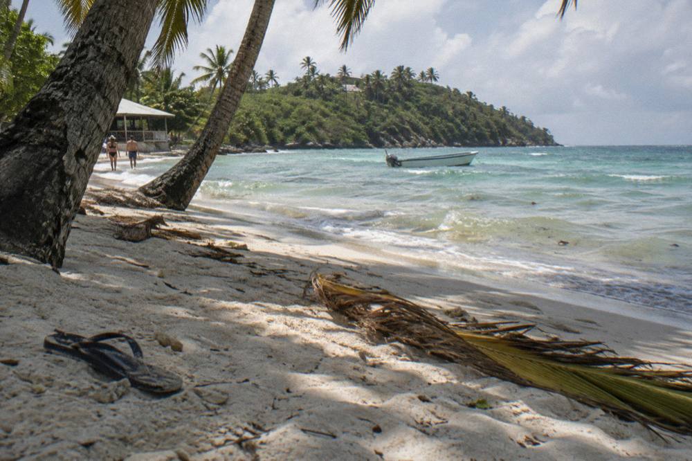 Palm shaded white sand beach with calm shallow water and a distant headland