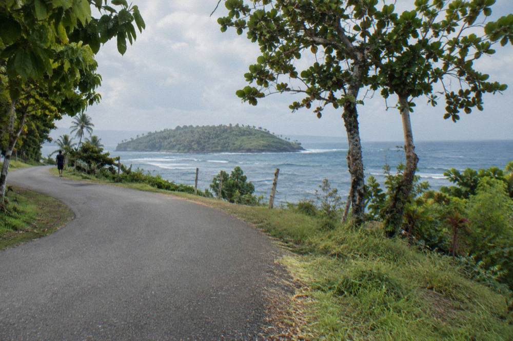 A coastal road winding along green hills above the Samana peninsula