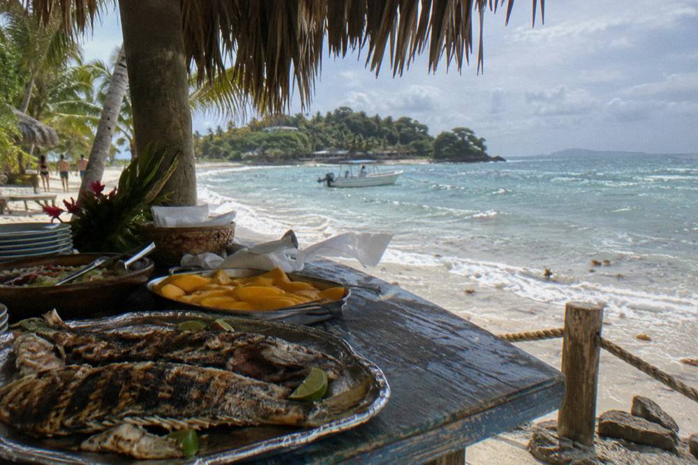 A beach buffet table with grilled fish and tropical fruit under palm shade