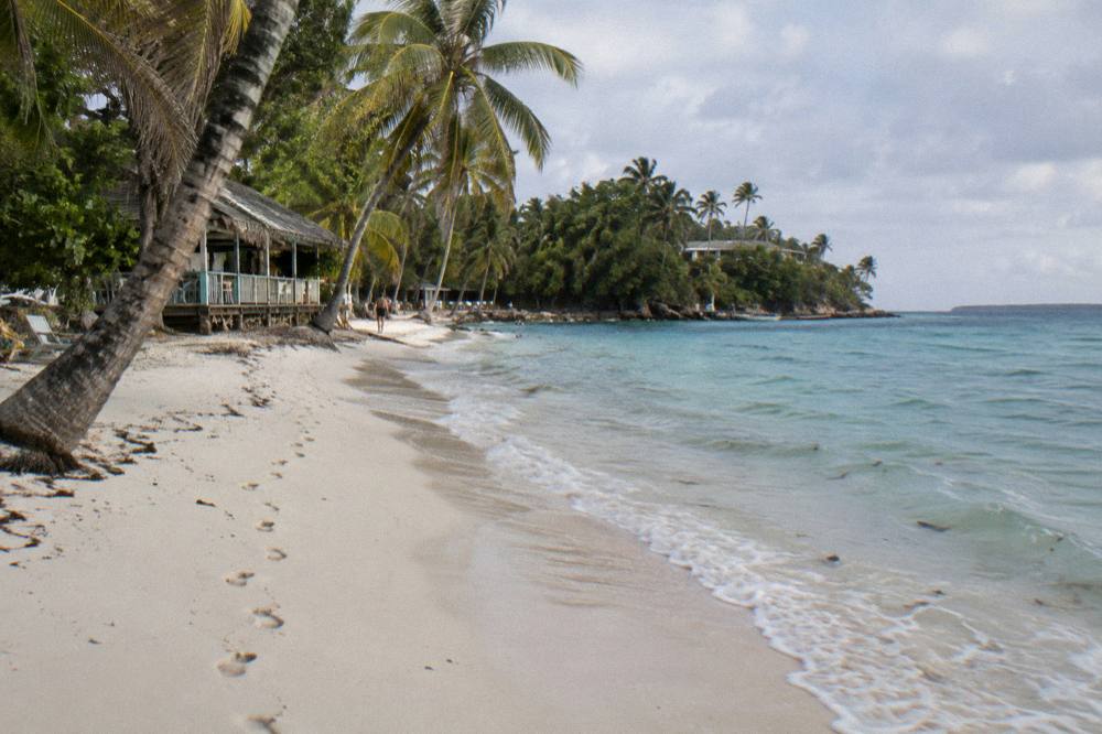 Empty white sand beach with palm trees and clear shallow water in early morning light