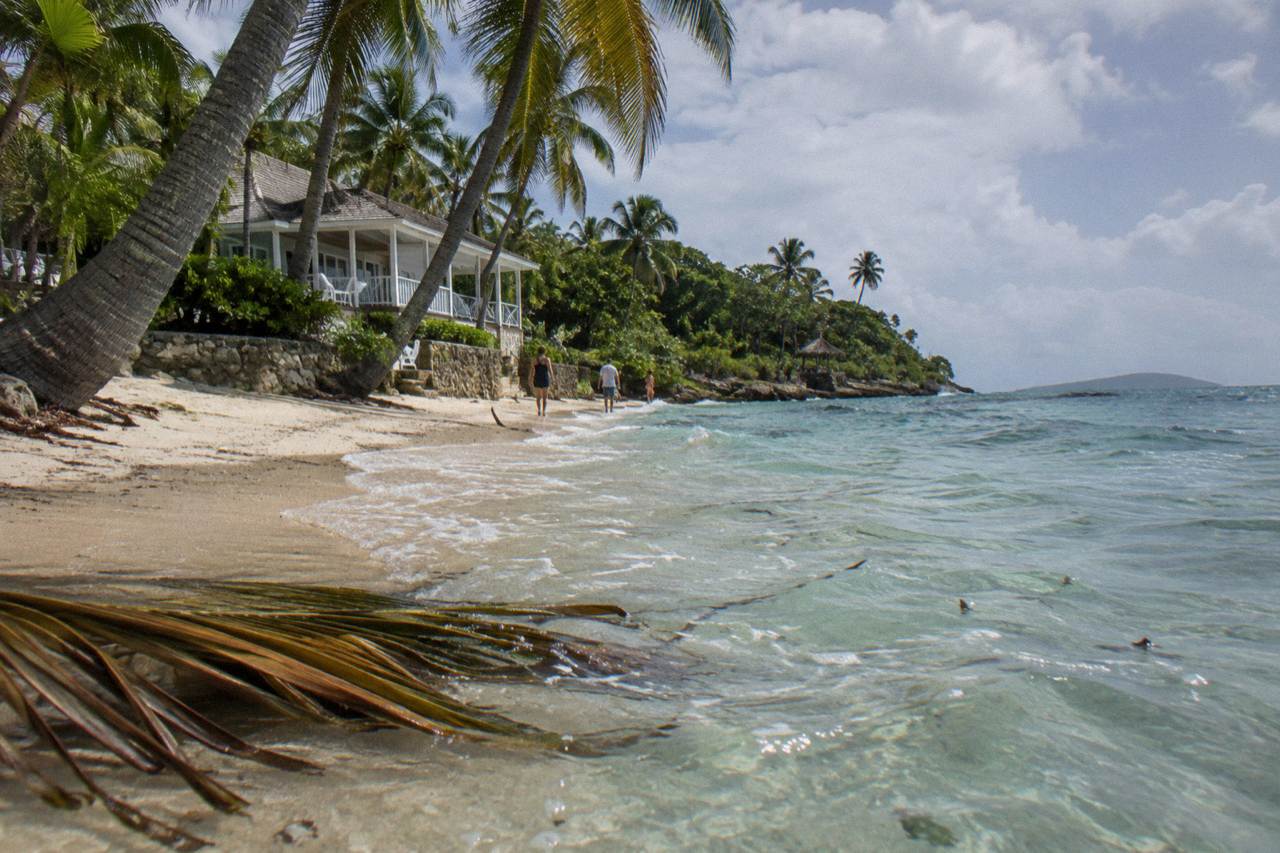 Turquoise water and palm trees on the shoreline of Cayo Levantado in Samana Bay