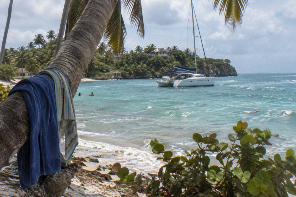 Catamaran anchored off a small palm-covered island in a calm turquoise bay