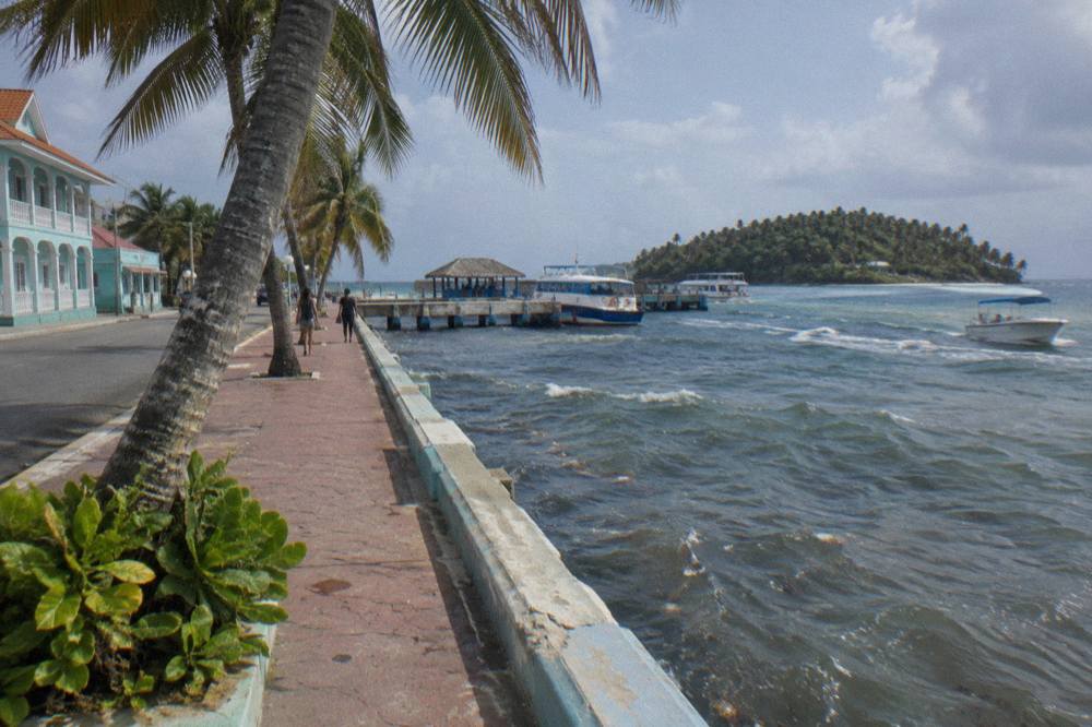 Tropical roadway lined with palm trees approaching a coastal town in daylight