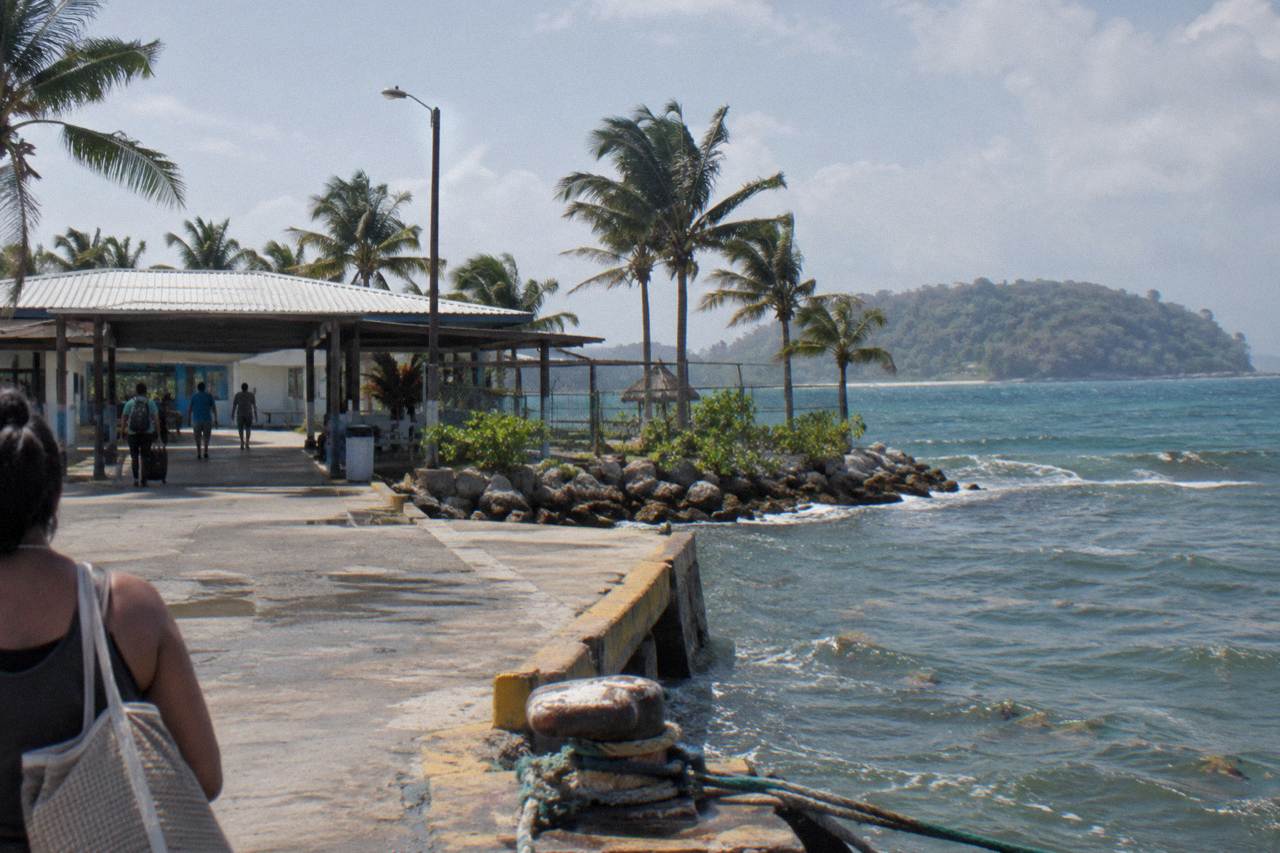 Small regional airport terminal building beside palm trees under a bright tropical sky